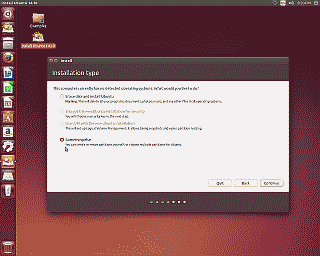 Screenshot of the Ubuntu installation type screen