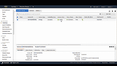 Screenshot showing a running FreeBSD instance in Amazon EC2