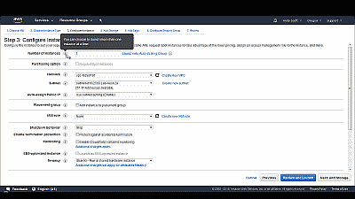 Screenshot showing the configuration of the default Amazon EC2 instance options