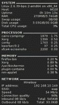 Screenshot of Conky's output