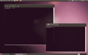 Screenshot of the Xfce terminal